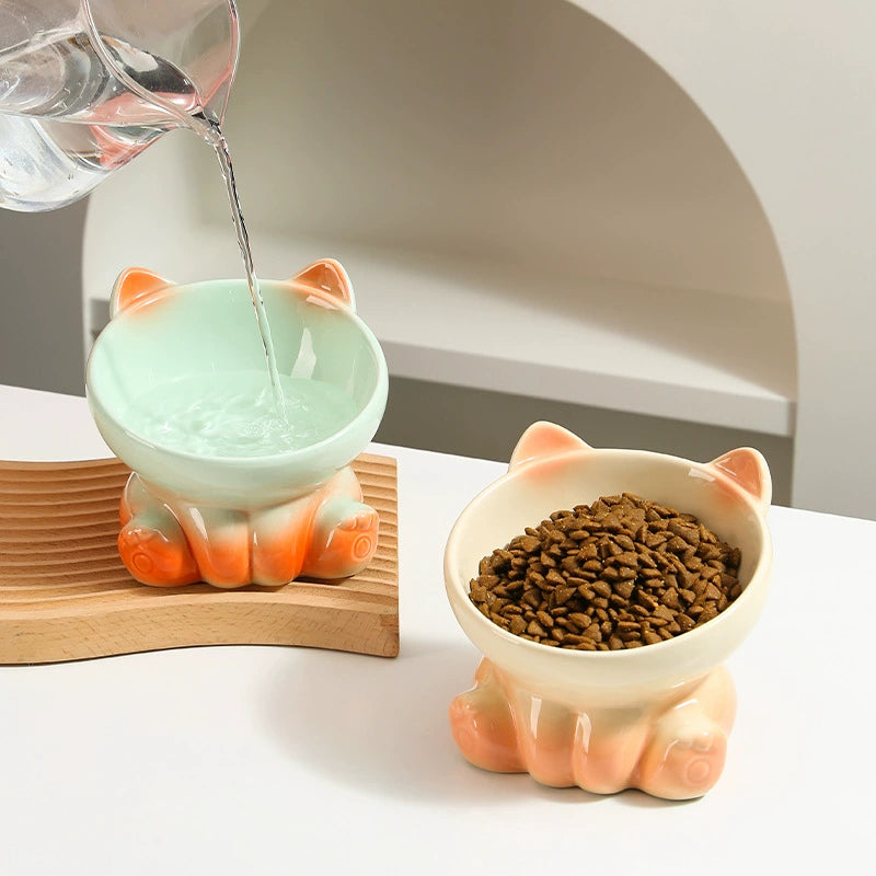 Pet Ceramic Bowl