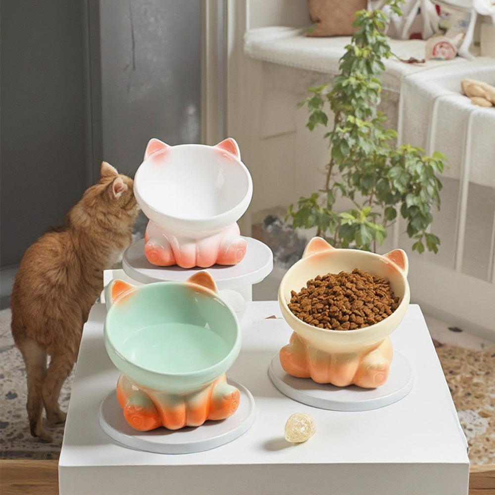 Pet Ceramic Bowl